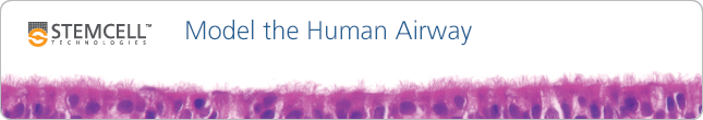 Learn More: Model the Human Airway at the Air-Liquid Interface